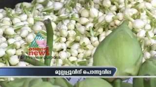 Record price for jasmine in Kerala