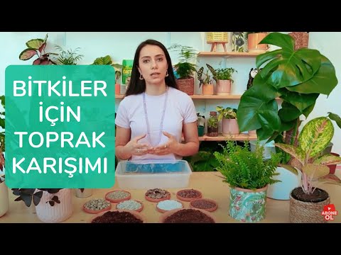 , title : 'Bitkiler için Toprak Karışımı Nasıl Olmalı?'