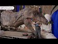 Exclusive Bonus Feature Clip