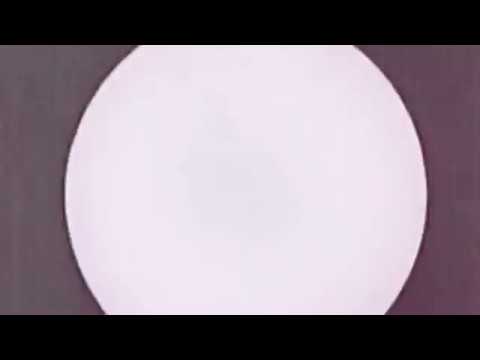 Monolithe Noir - La Bégum (OFFICIAL)