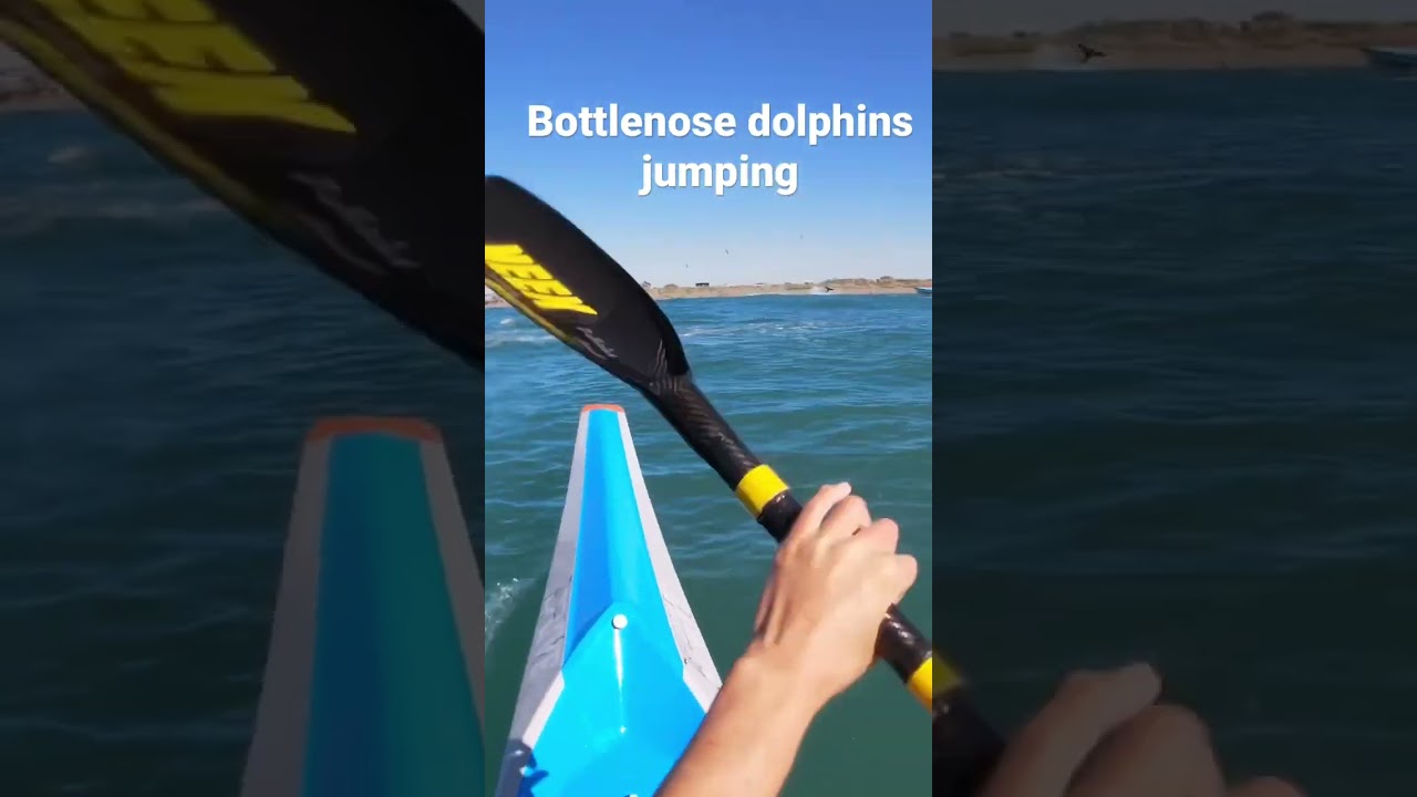 bottlenose get big air