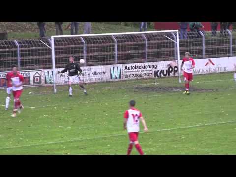 Wahl zum Tor der Saison 2013/2014