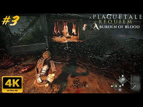 A PLAGUE TALE REQUIEM – Chapter 3: A BURDEN OF BLOOD Gameplay Walkthrough