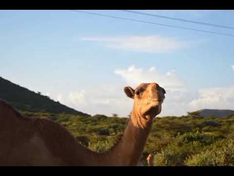 Visit Northern Kenyan with jabeen