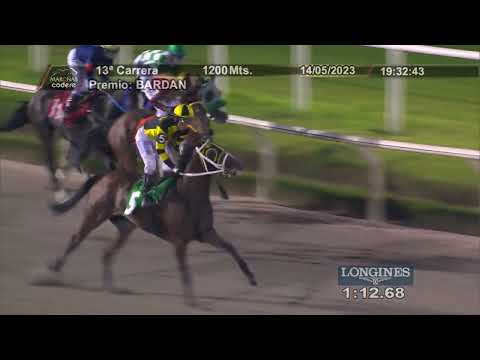 230514 c13 - ATENEA FEVER - HIPODROMO DE MARONAS