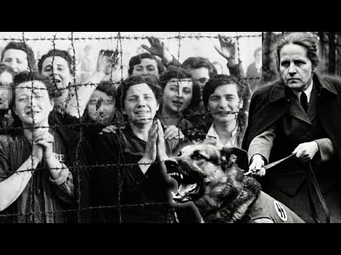 From Housewife to SS Terror : The Rise and Fall of Johanna Bormann