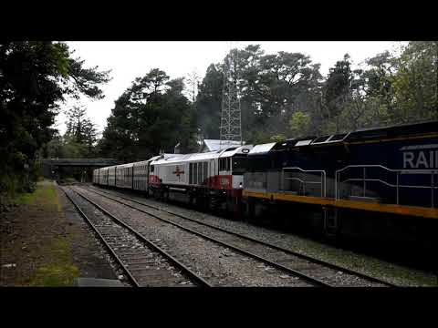 SCT Logistics 2MP9 CSR012 CF4410 CSR004 14th September 2021- Struggling at Lofty