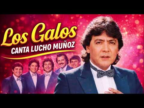 Los Galos con la voz de Lucho Muñoz 20 Grandes Exitos