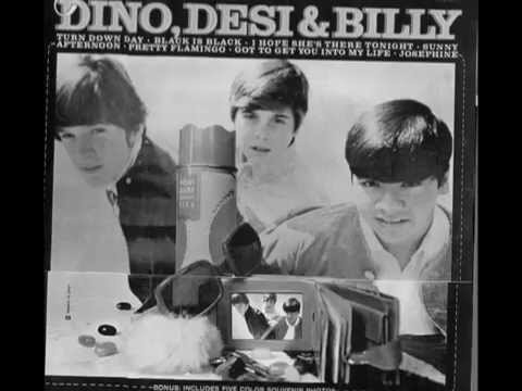 Dino, Desi & Billy - She's So Far Out, She's In