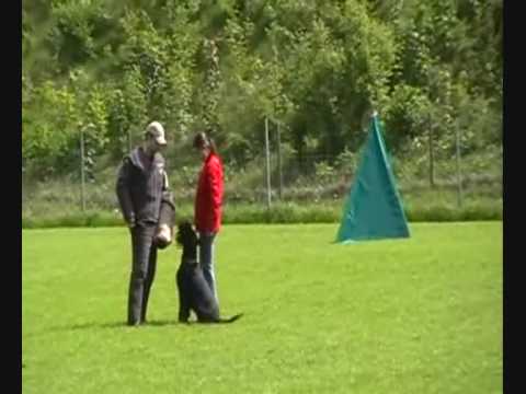 download lagu mp3 mp4 Vom Hatzbachtal, download lagu Vom Hatzbachtal gratis, unduh video klip Vom Hatzbachtal