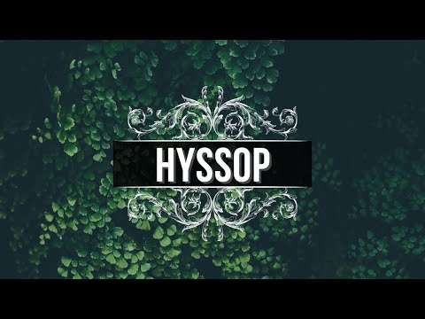 download lagu mp3 mp4 Cooking With Hyssop, download lagu Cooking With Hyssop gratis, unduh video klip Cooking With Hyssop