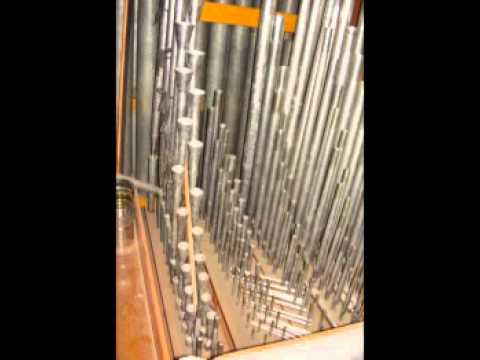 Laube  Gigout Schurz Restoration Fundraiser