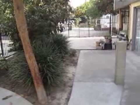 PL5678 - Hollywood 2 Bedroom Apartment For Rent!