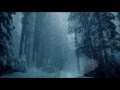 Lady of silence ஜ۩۞۩ஜ