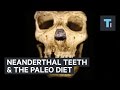 Neanderthal teeth reveal truth of the 'paleo diet'