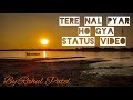 Tere Nal Pyar Ho Gya Status Video Love Status Video Beautiful Nature