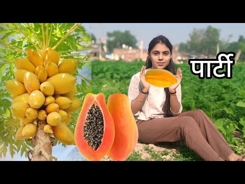 पपीता कभी मत खाना  || Shreyashi Official 555 || ##shreyashiofficial555 