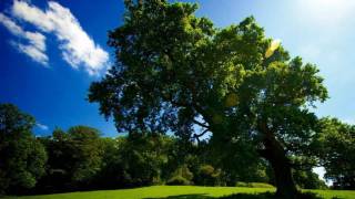 CHEGA DE SAUDADE ELIZETH CARDOZO