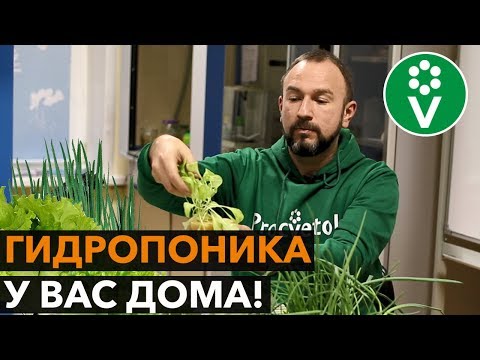 Свежая зелень БЕЗ НИТРАТОВ круглый год! ПРОЩЕ НЕ БЫВАЕТ!