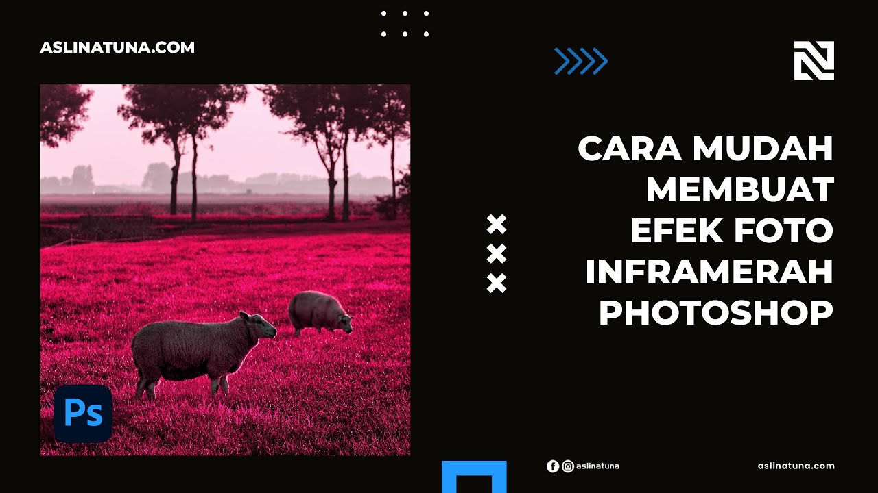 Cara Mudah Membuat Efek Foto Inframerah di Photoshop