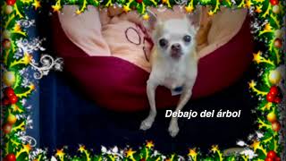 Perro Cantante | El perro canta canción de navidad | Divertido Cancion de Navidad.