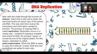 DNA coloring pages - Mini Lesson
