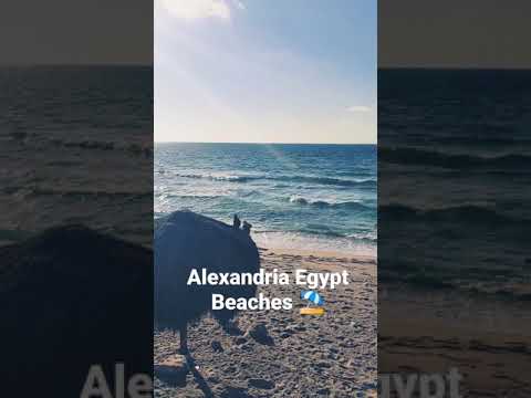 Alexandria Egypt beaches in Summer ⛱️⛱️⛱️