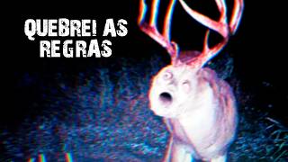 QUEBREI AS REGRAS ANTES DE SER GUIA TURÍSTICO!