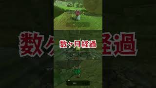 【コログ過多】100%クリアに数ヶ月かかる神ゲー『ゼルダの伝説 ブレスオブザワイルド』 #shorts #ゼルダの伝説 #ゼルダの伝説ブレスオブザワイルド