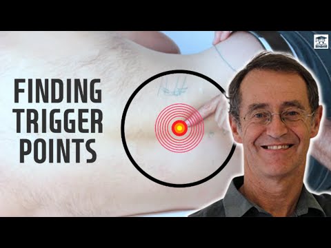 Trigger Point Release - Erector Spinae