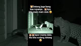 Download lagu akhirnya datang juga #marsytchannel #shortsfeed #youtubeshorts #short mp3