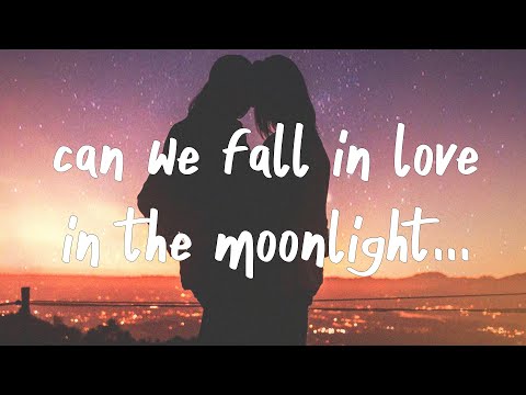 dhruv - moonlight (Lyrics)