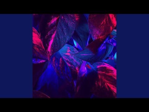 O.T Queen (feat. Kaysie Williams)