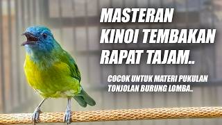 Download lagu CUCAK KINOI GACOR FULL ISIAN TEMBAKAN SIRI SIRI MEWAH NEMBAK PANJANG JEDA SPEED RAPAT TAJAM PEDAS mp3