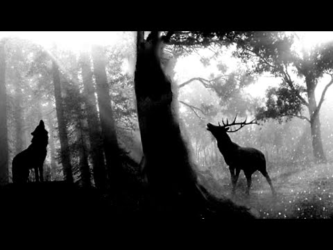 Deep Melodic Techno mix 2020  - Black Deer - Miss Monique, Paul Angelo & Don Argento,…