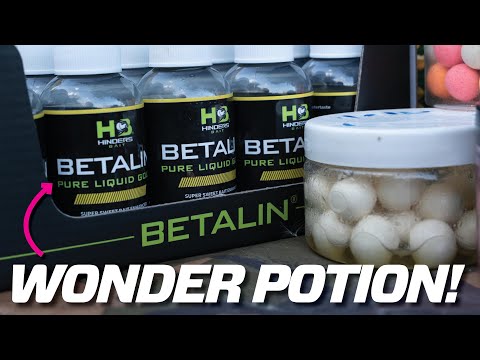 The Secret Carp Bait Potion! | Hinders Betalin