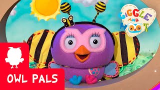 Giggle and Hoot: Sing Like a Butterfly Sing Like A Bee | Owl Pals
