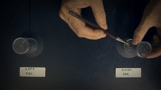 Experimenting On Your Ears | No Speaking | Binaural ASMR