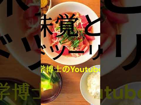 観光政策学科 2025年4月20日