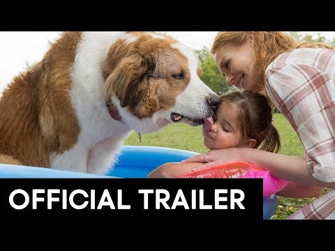 A Dog's Journey (International Short Trailer)