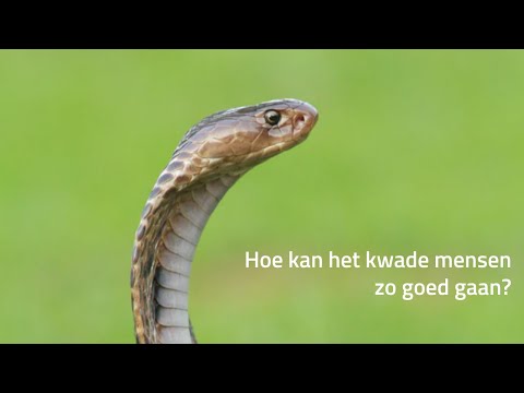 Hoe kan het kwade mensen zo goed gaan? (Psalm 73) - Preek 26 april 2020