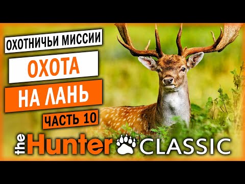 ОХОТА НА ЛАНЬ! | Охотничьи Миссии | theHunter Classic 🐻 | (часть 10)