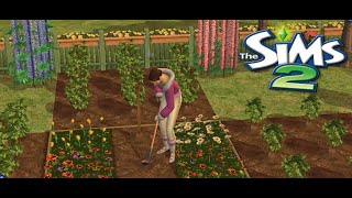 🌿Sims 2 No Commentary Longplay | Gardening & Quiet Moments🌿New Home & Garden | Cottagecore ASMR 🌱