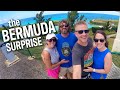 The BERMUDA Surprise