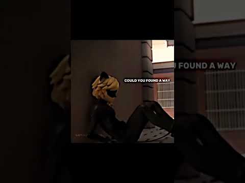 miraculous #miraculous #edit #miraculousladybug #chatnoir #ladybug #carapace #marinette #superhero