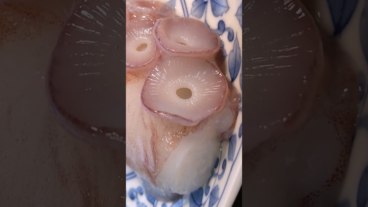 手指vs活章鱼腿～谁吃谁?!#aomori #青森生活 #日本海鲜 #food