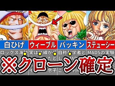 ウィーブルとボブについて詳しく解説