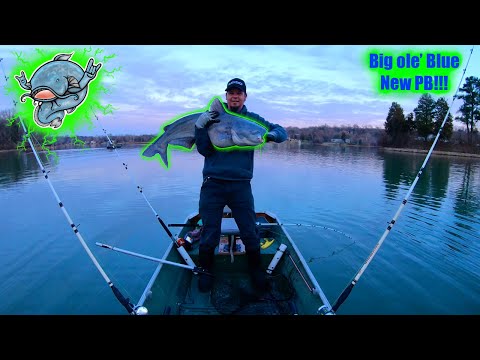 New PB!! Huge catfish in my Little Jon Boat..(Catfish Dave witnessed it!!)