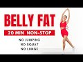 Do This Everyday To LOSE BELLY FAT 20 MIN Standing Workout Beginner Friendly