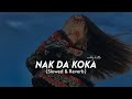 Nak Da Koka (Slowed & Reverb) | Malkoo Ft Sara Altaf